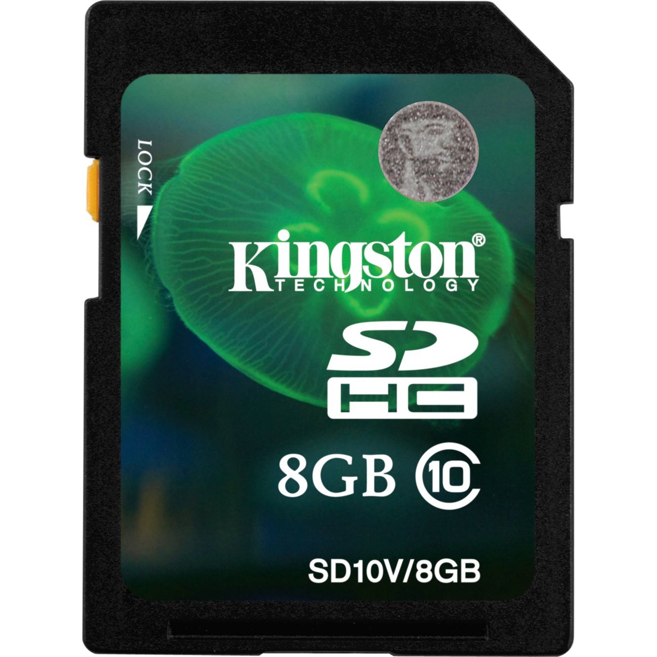 Card Memorie Kingston SDHC 8GB Clasa 10 cartuseria.ro