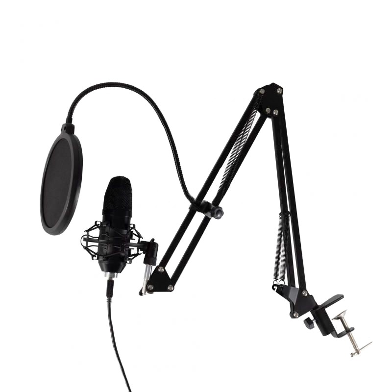 Set microfon profesional, USB, brat articulat, filtru pop-up flexibil, studio, streaming cartuseria.ro