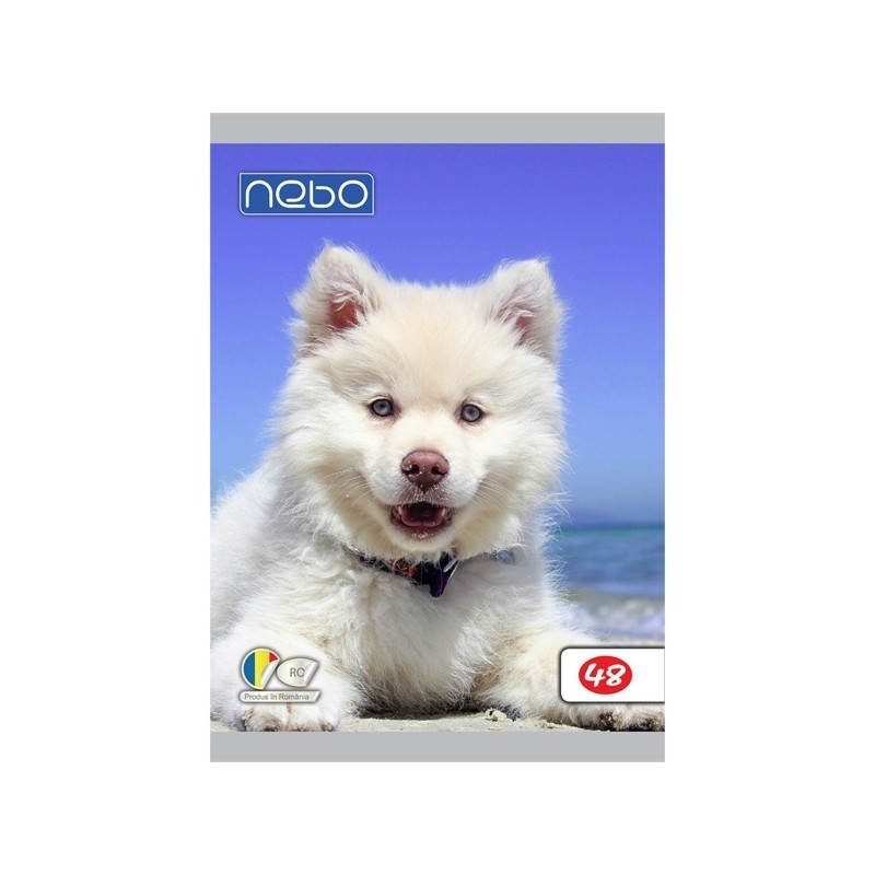 Pachet rechizite scolare pentru clasa 1, set complet pentru elevi cliclul primar, 22 piese - imagine 7