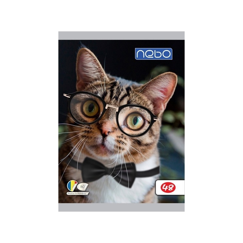 Pachet rechizite scolare pentru clasa 1, set complet pentru elevi cliclul primar, 22 piese - imagine 8