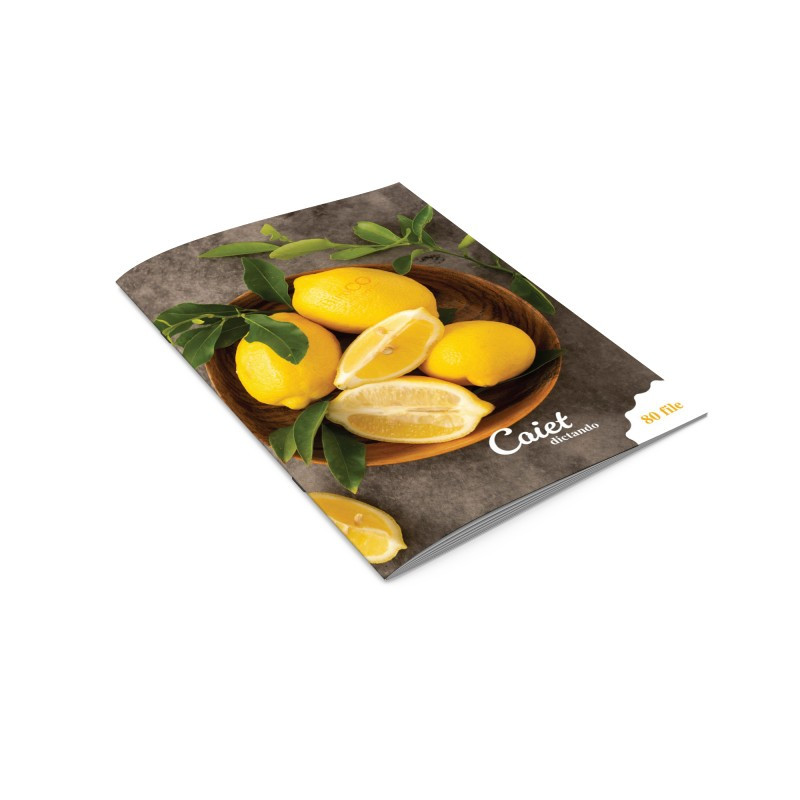 Caiet BiroCO A4 80 file Dictando Diverse Motive