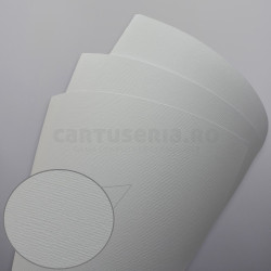 Carton texturat format A4 230g top 20 bucati- linii