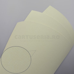 Carton texturat format A4 230g top 20 bucati- linii