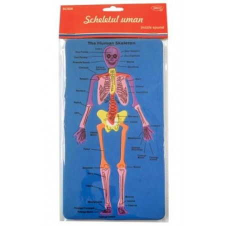 Set creativ puzzle - Schelet uman