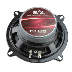 Set 2 difuzoare auto, 100 W, 130 mm, 4 ohmi, con dublu, Sal