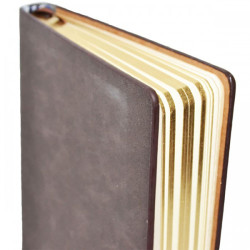 Agenda nedatata A5, margini aurii, piele ecologica, Nebo A25