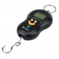 Cantar digital de mana portabil, maxim 40 kg, butoane control, ABS