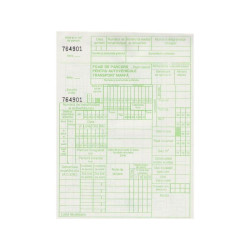 Foi parcurs marfa, verzi inseriate, format A5