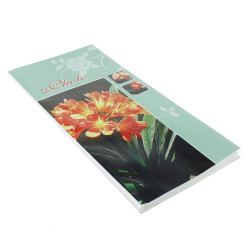 Album foto Orange Flowers, 96 fotografii 10X15 cm