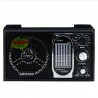Radio portabil boxa, 12 benzi FM/MW/SW1-9, mufa jack 3.5, Leotec
