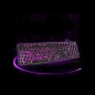 Tastatura Gaming USB, butoane multimedia, iluminata in 3 culori, Rii