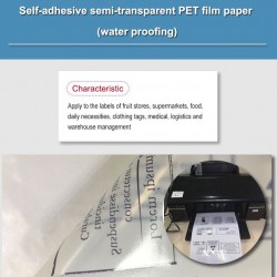 Folie adeziva semi transparenta printabila inkjet, rezistenta apa, A4, 20 coli, Procart