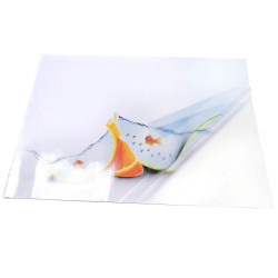 Folie adeziva transparenta printabila inkjet, A4, 20 coli, Procart