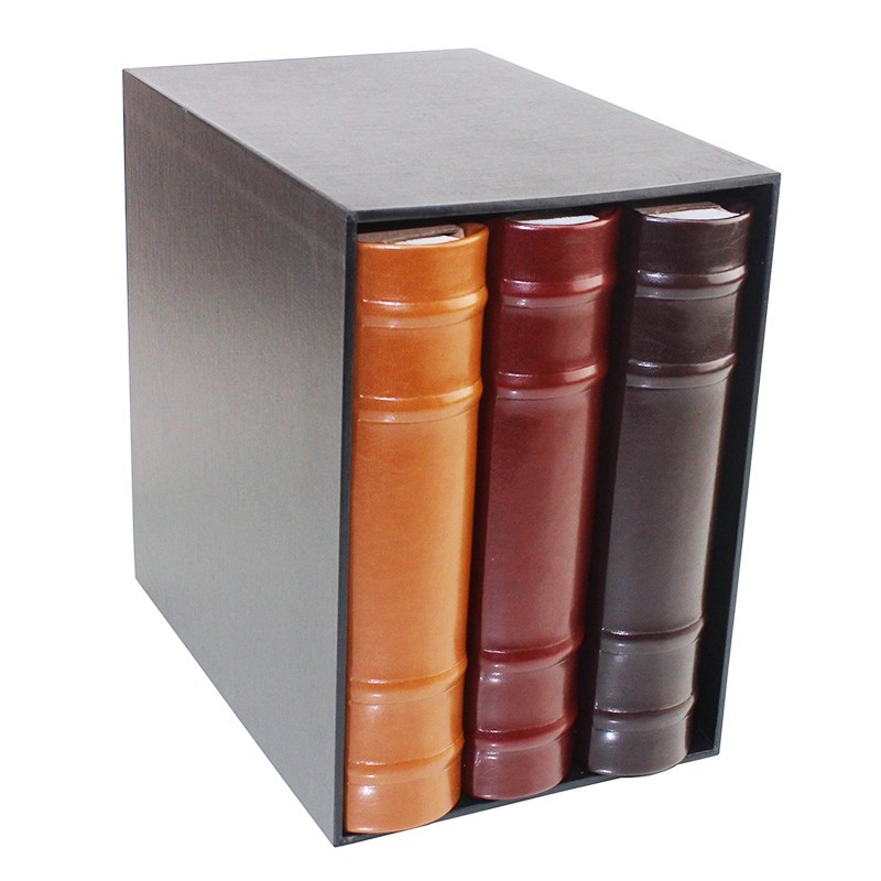 Set 3 albume foto Shadow, 600 poze 10x15, slip-in, piele ecologica, cutie
