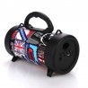 Boxa Bluetooth portabila 5W, microfon, slot USB TF, radio FM, copii