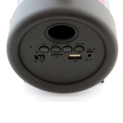 Boxa Bluetooth portabila 5W, microfon, slot USB TF, radio FM, copii