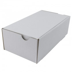Cutie carton cu autoformare 100x100x60 alb, microondul E 360 g, FEFCO 0426