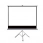 Ecran de proiectie 100 inch, format 16:9 , suport trepied cu inaltime ajustabila, portabil