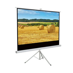 Ecran pentru proiectare, format 16:9 100 inch, trepied, inaltime ajustabila, portabil