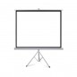 Ecran de proiectie 100 inch, format 16:9 , suport trepied cu inaltime ajustabila, portabil