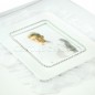 Album foto White Lady pentru nunta