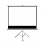 Ecran de proiectie 100 inch, format 16:9 , suport trepied cu inaltime ajustabila, RESIGILAT Ecran de proiectie 100 inch, format 16:9 , suport trepied cu inaltime ajustabila, RESIGILAT