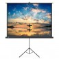 Ecran de proiectie 100 inch, format 16:9 , suport trepied cu inaltime ajustabila, RESIGILAT Ecran de proiectie 100 inch, format 16:9 , suport trepied cu inaltime ajustabila, RESIGILAT