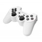 Controller cu fir PC2/PS3/PC Esperanza Corsair, USB, 12 butoane, alb