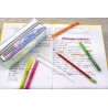 PENAR ETUI TUBULAR GLITTER FLIP FLOP ARGINTIU EBERHARD FABER
