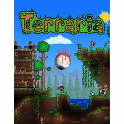 Joc Terraria Steam CD Key
