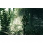 Joc Sniper Ghost Warrior Steam Key Global PC (Cod Activare Instant) Joc Sniper Ghost Warrior Steam Key Global PC (Cod Activare Instant)