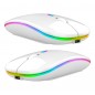 Mouse optic RGB fara fir 1000/1200/1600 DPI, intrare USB, forma ergonomica, 11 x 6 x 2,5cm, alb