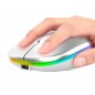 Mouse optic RGB fara fir 1000/1200/1600 DPI, intrare USB, forma ergonomica, 11 x 6 x 2,5cm, alb
