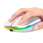 Mouse optic RGB fara fir 1000/1200/1600 DPI, intrare USB, forma ergonomica, 11 x 6 x 2,5cm, alb