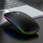 Mouse optic RGB fara fir 1000/1200/1600 DPI, intrare USB, forma ergonomica, 11 x 6 x 2,5cm, alb