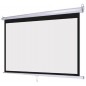 Ecran pentru proiectie 100 inch, format 16:9, portabil, sistem prindere, alb mat, RESIGILAT