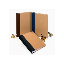 Album foto Big Butterfly, 
