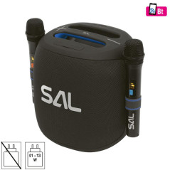 Sistem audio stereo cu 2 microfoane Wireless, 100W, difuzor mid-bass, 2 tweetere, USB/microSD, AUX, efecte LED, negru