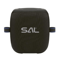 Sistem audio stereo cu 2 microfoane Wireless, 100W, difuzor mid-bass, 2 tweetere, USB/microSD, AUX, efecte LED, negru