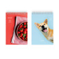 Bloc notes format A6, 50 file dictando, spirala metalica, BiroCo Bloc notes format A6, 50 file dictando, spirala metalica, BiroCo