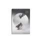 Carnetel dictando BiroCO, format A4, 50 file hartie 60 g/mp, cu spirala