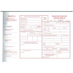 Foaie de parcurs pentru autovehicule transport persoane, A4, 100 file