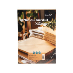 Plic cu burduf, 10 buc/set, format B4 siliconic, 250x353x50 mm, kraft