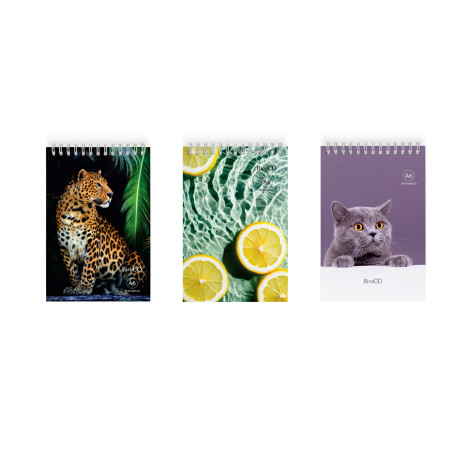 Carnetel aritmetica, format A6, spirala metalica in partea superioara, 60 g/mp, 50 file