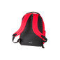 Rucsac adolescenti, compartimentat, 29 litri, bretele ergonomice, 32x45x23 cm