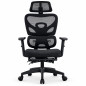 Scaun ergonomic de birou cu suport picioare retractabil, tetiera si suport lombar reglabile, mesh, negru