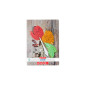 Caiet Herlitz A5 aritmetica 80 file Spices Caiet Herlitz A5 aritmetica 80 file Spices